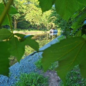 Narrowboat on a Summer's Day