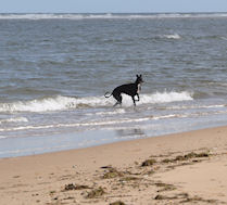 sea and sand