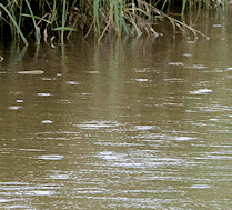 Canals reopening as water levels recover