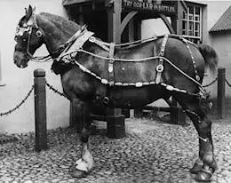A horse is an efficent form of power for a canal boat