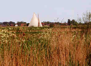 Sails appearing across the reeds and fields.
