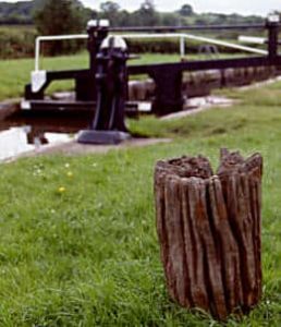 Wooden strapping post