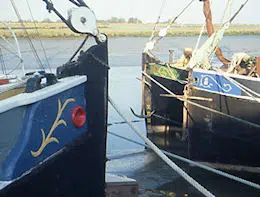 Thames barge bows at Malden