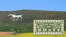 White Horse Boats